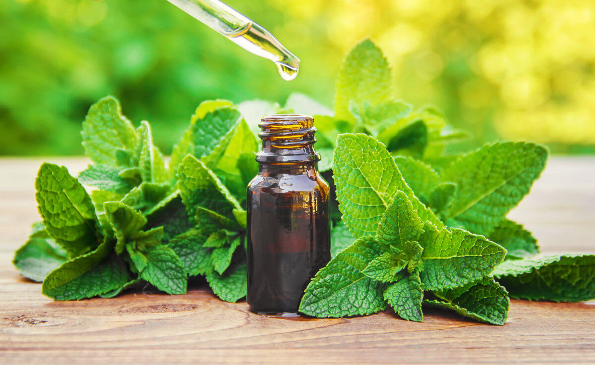 10 fantastici oli essenziali Menta Piperita