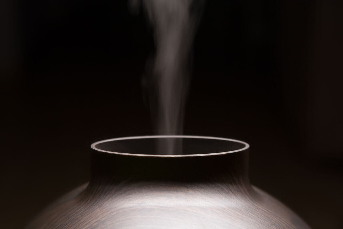 I 13 migliori diffusoridi aromi