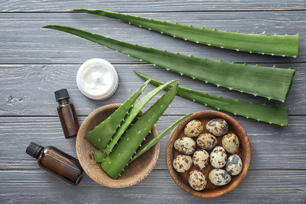 Maschera con uovo e aloe vera