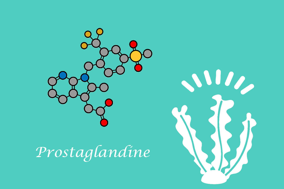 Cosa contiene il Black Sea Rod Oil