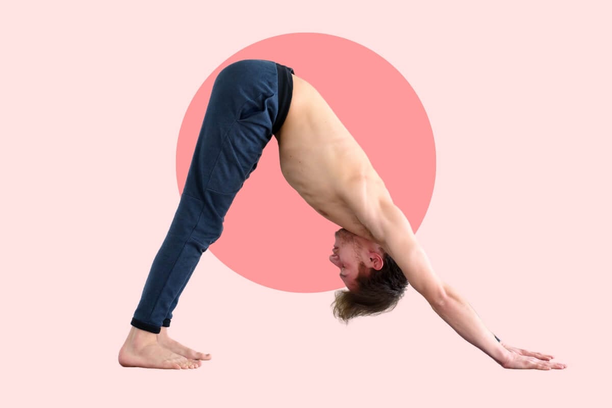 cane a faccia in giu Adho Mukha Svanasana uni