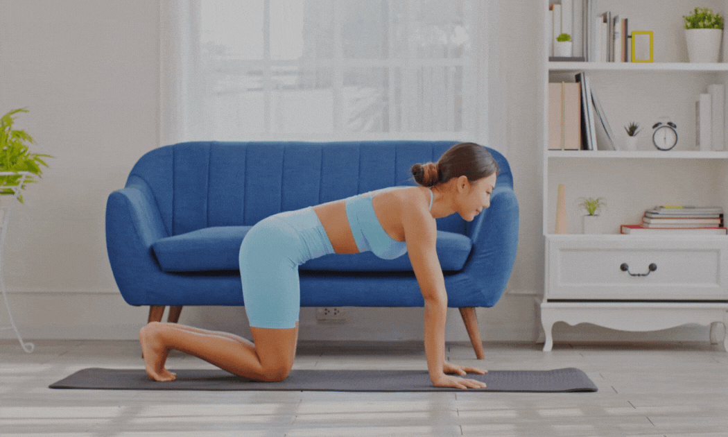 Adho Mukha Svanasana cane faccia in giu video