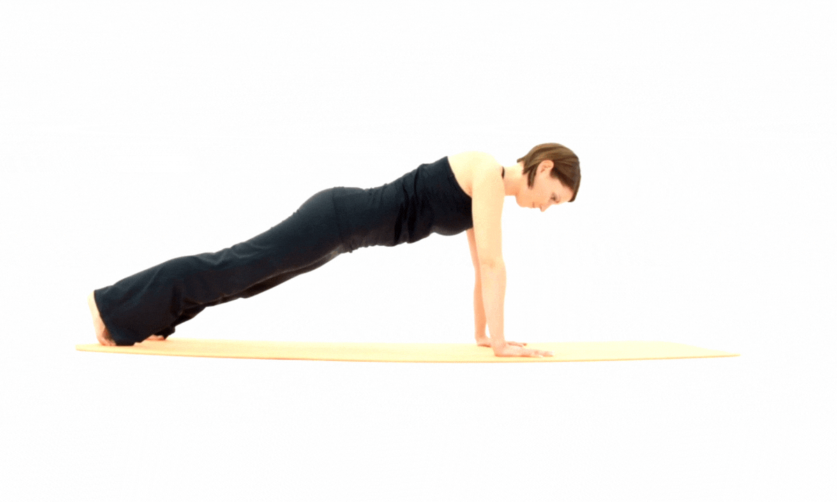 Chaturanga Dandasana video Chaturanga Dandasana video