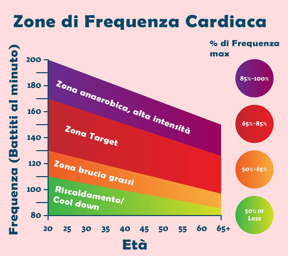 Cosa sono le zone cardiache e come riconoscerle