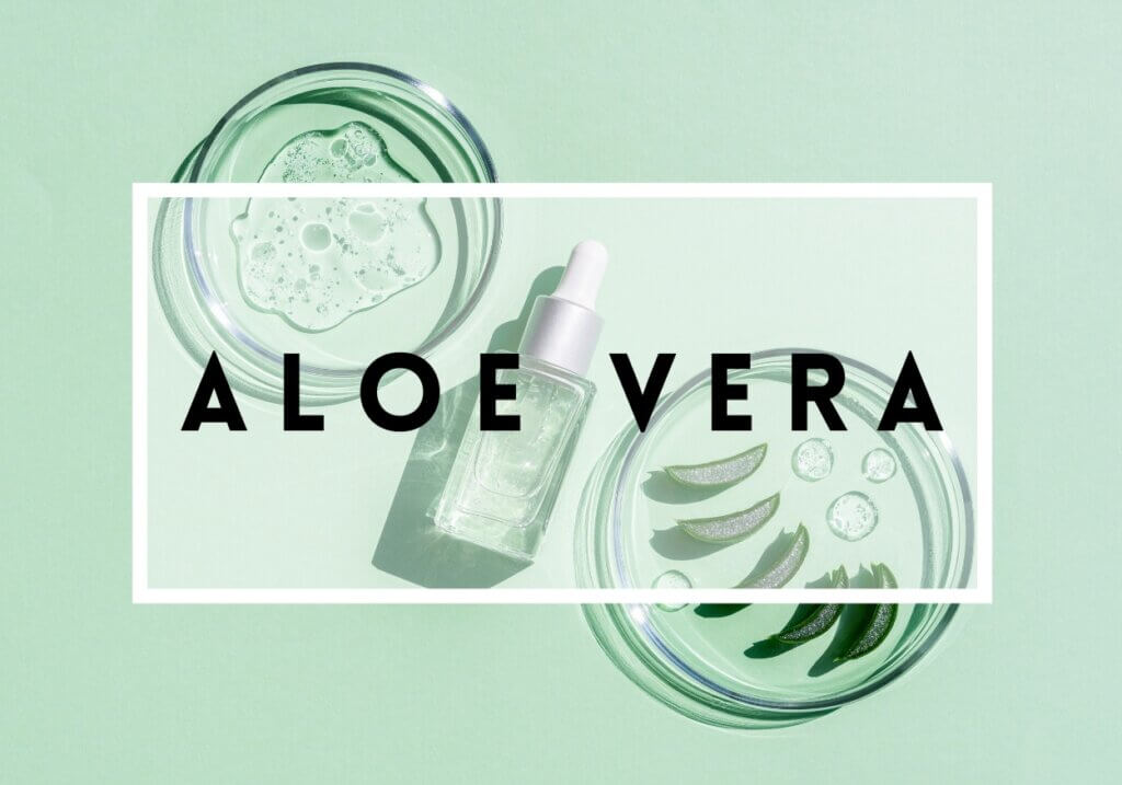aloe vera(1)