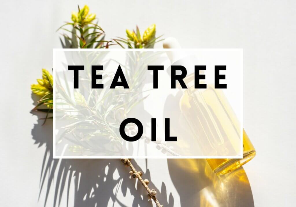 Tea Tree Oil: Quali Sono I Suoi Benefici Per La Pelle