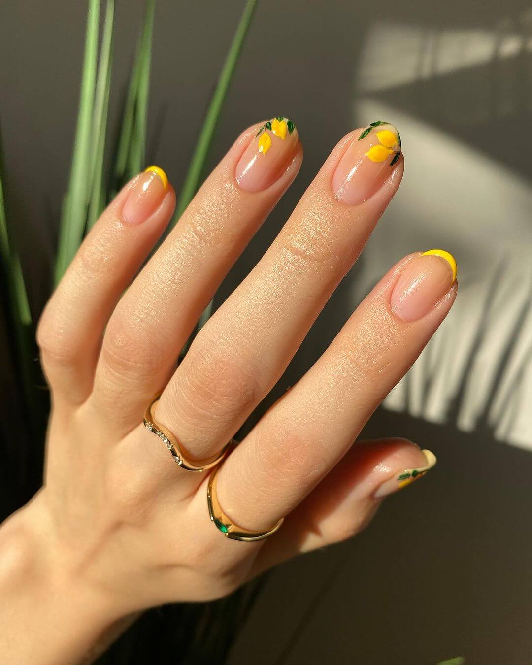 lemon french polished yogi