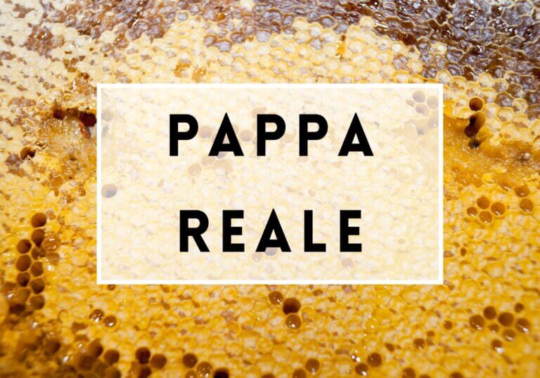 PAPPA REALE