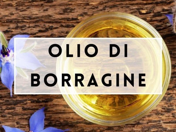 OLIO DI BORRAGINE OLIO DI BORRAGINE