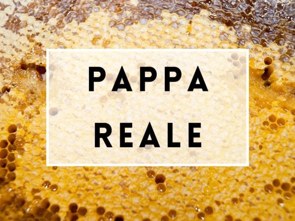 PAPPA REALE PAPPA REALE